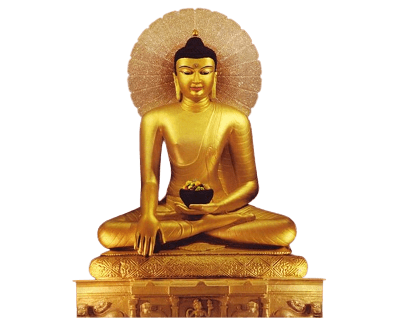 Buddhism : The Next Step